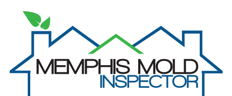 Memphis Mold Inspector